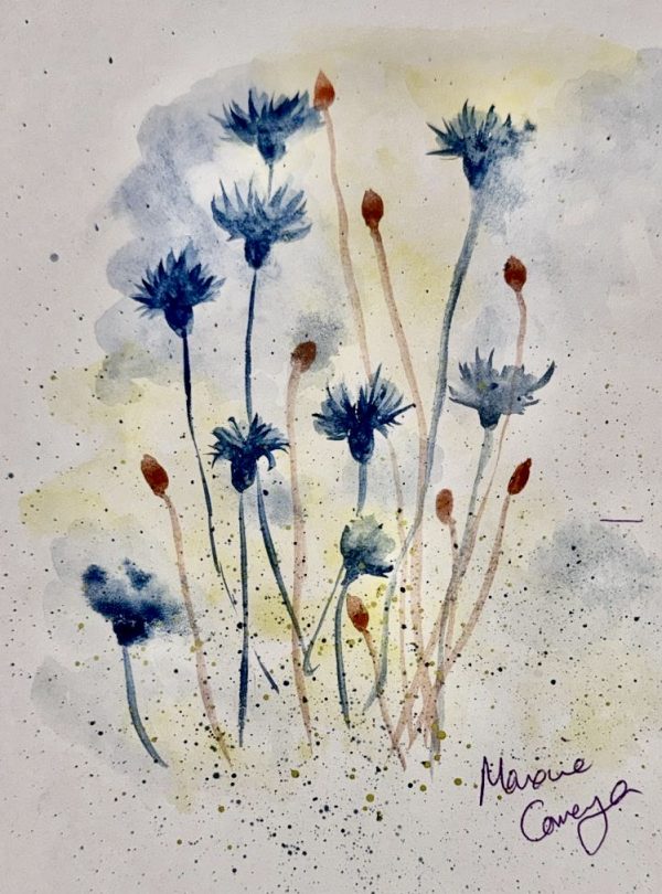 3-part Watercolour Workshop